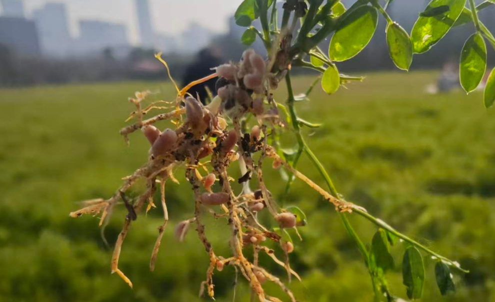 胜任 — 发现有趣+好奇探索